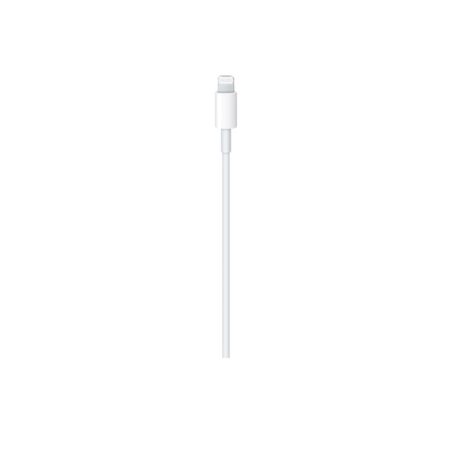 Apple MUQ93ZM/A USB-C to Lightning Cable 1M 24-pin for Syncing & Charging White