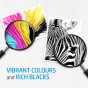HP 301 2-pack Black/Tricolor Original Pigment base Ink Cartridge Standard Yield