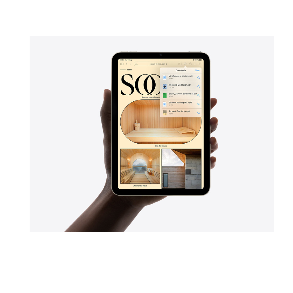 iPad mini 第4世代 docomo版SIMフリー 128GB MK782J⁄A A1550 ジャンク