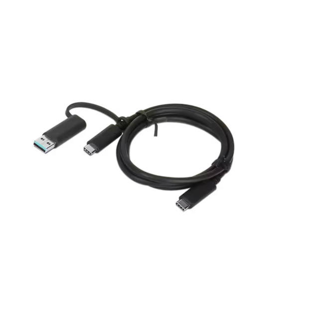Lenovo Hybrid 4X90U90618 1 Meter USB-C with USB-A Cable Black