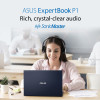 ASUS ExpertBook P1503CV-i715X Intel Core i7-13620H 16GB RAM 512GB SSD 15.6" Windows 11 Pro Laptop