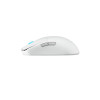 ASUS ROG Harpe Ace Mini Wireless Gaming Mouse - White