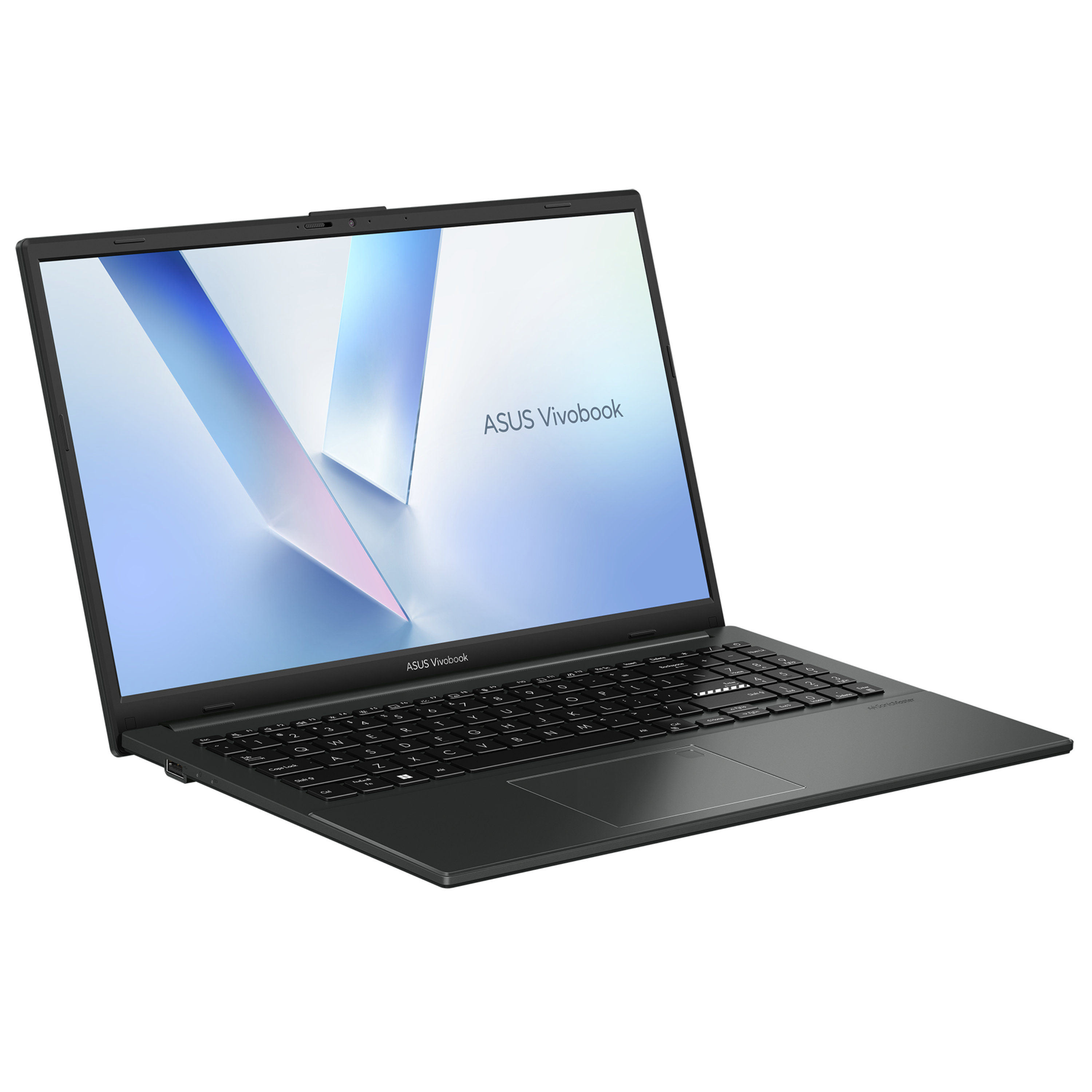 ASUS VivoBook Go 15 Ryzen 3 4GB/128GB Business Laptop