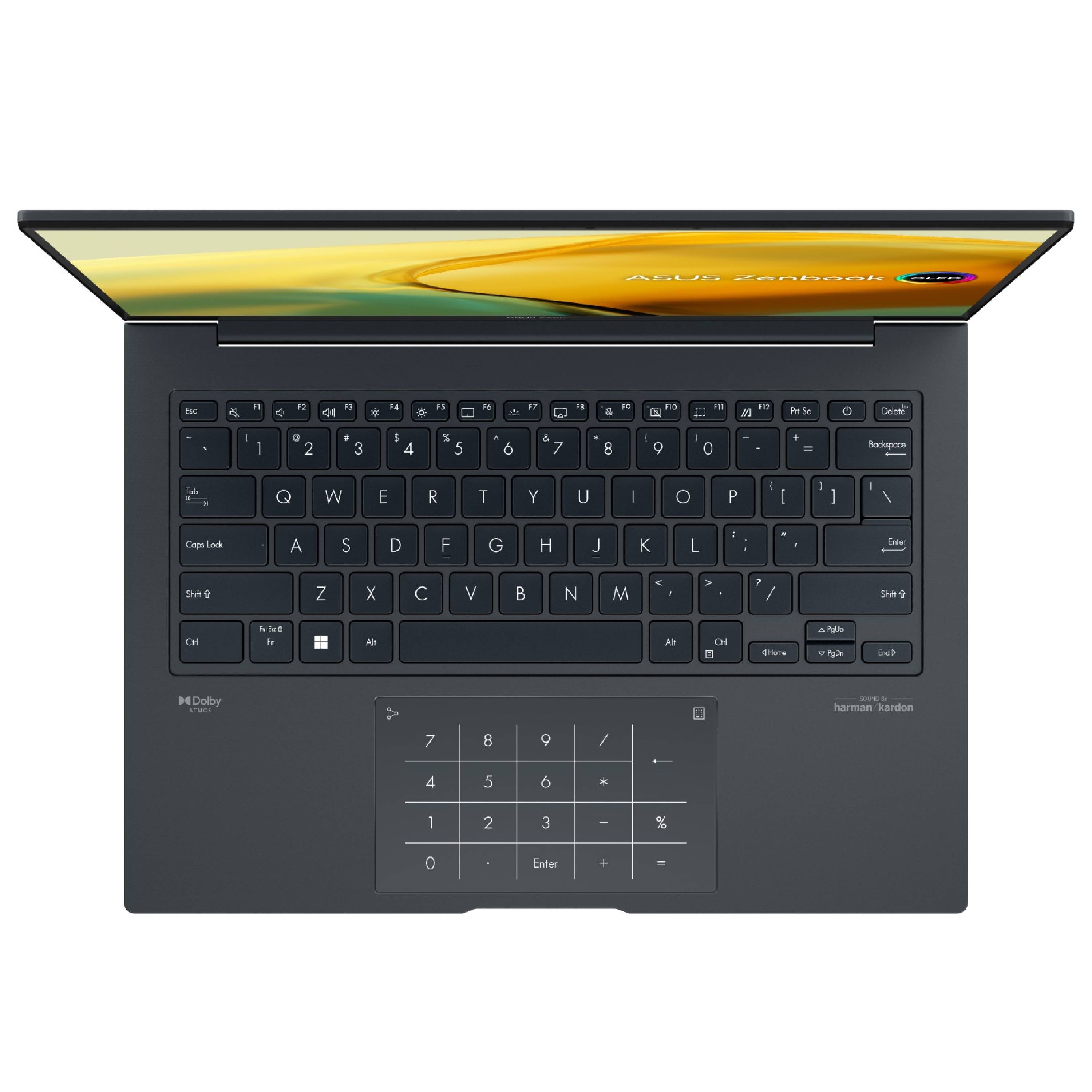 ASUS ZenBook 14X i9/16GB/1TB Business Laptop