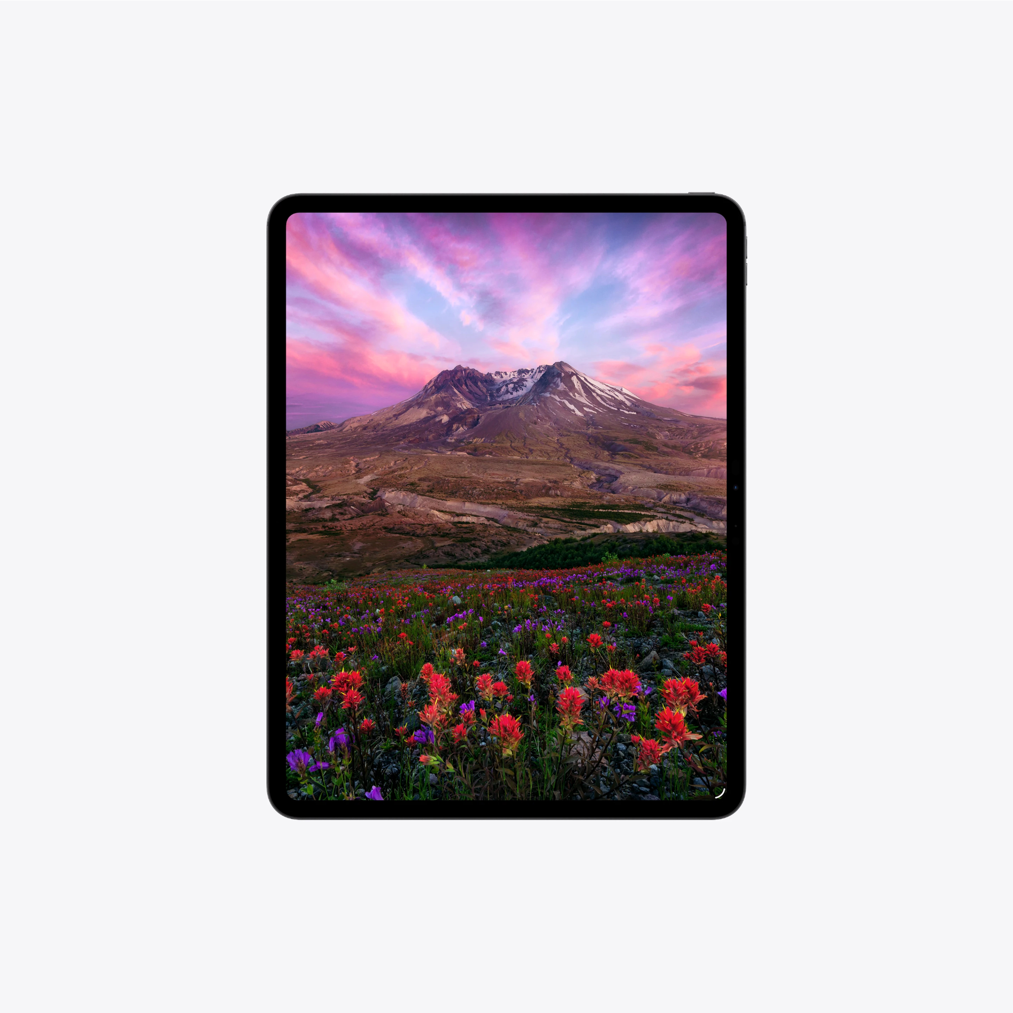 Apple iPad Pro 13