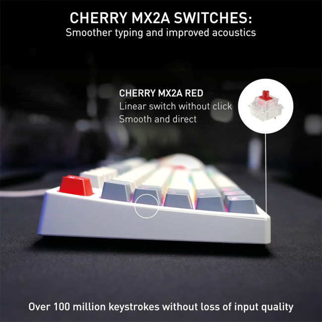 Cherry XTRFY K4V2 RGB Tenkeyless Retro Edition Wired Gaming Keyboard - Grey