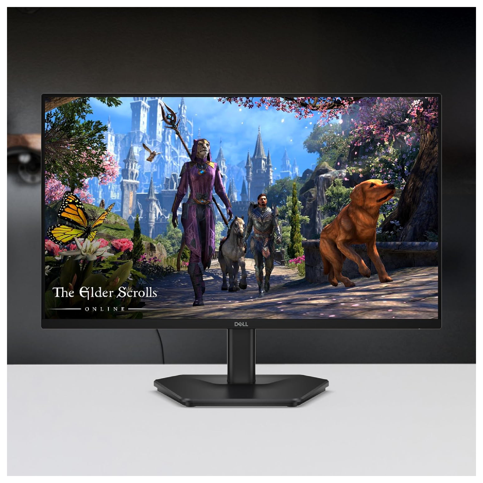 Dell SE2725HG 1080P 27