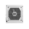 MSI MAG A850GL 850W ATX 3.0 Full Modular 80+ Gold PCIe 5.0 Compact Power Supply