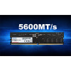 ADATA Premier AD5U560016G-S 16GB (1 x 16GB) 5600 MHz DDR5 Desktop Memory