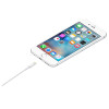 Apple MUQW3ZM/A Lightning to USB-A Cable 1m To Sync and Charge Smartphone White