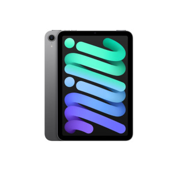 Apple iPad Mini A2993 A17 Pro Chip 8.3" 256GB Storage WiFi  Tablet - Space Grey