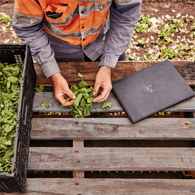 HP 255 G10 AA1D6ES#ABU AMD Ryzen 7-7730U 16GB RAM 512GB SSD 15.6" Windows 11 Pro Laptop