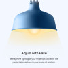 TP-Link Tapo Smart Wi-Fi Dimmable Light Bulb