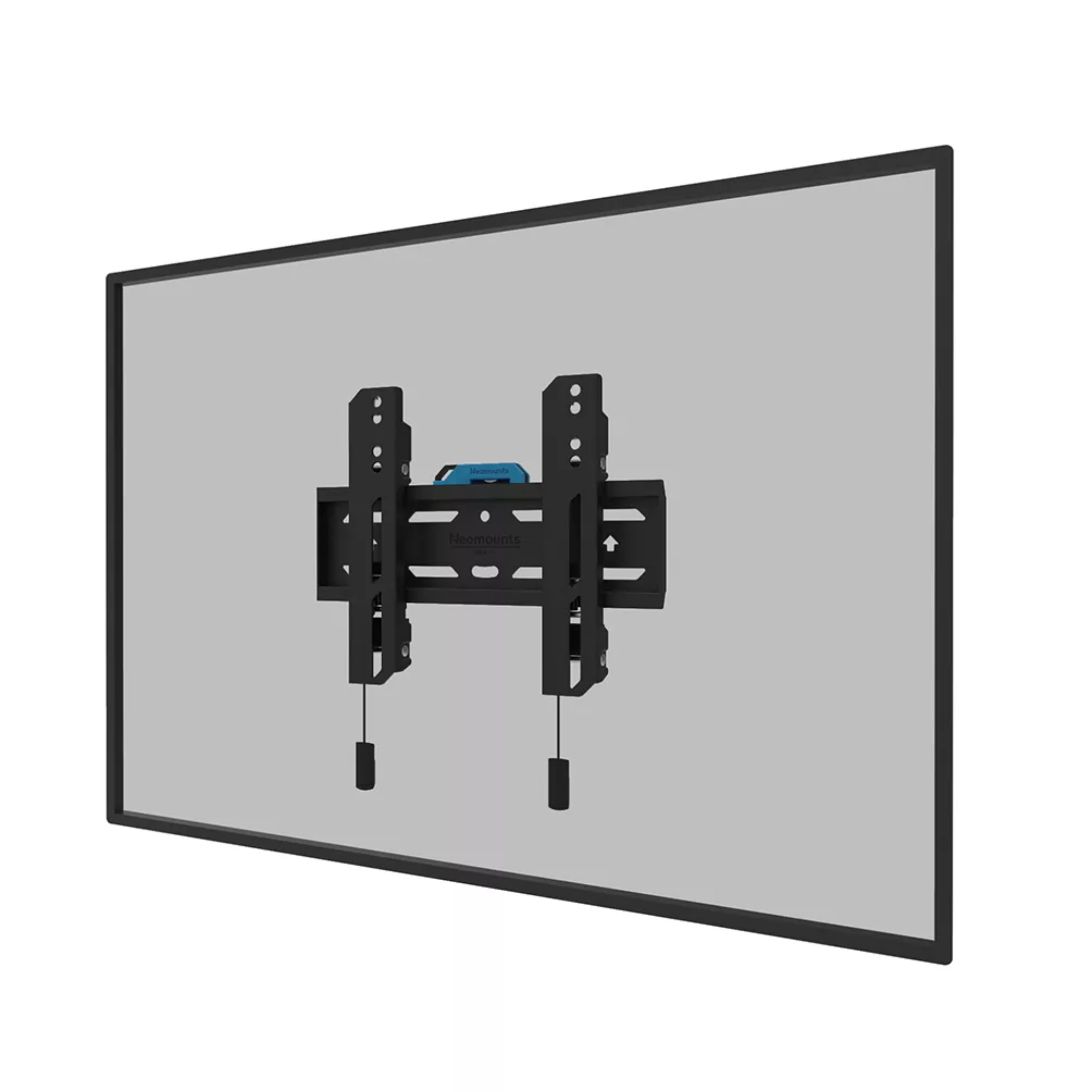Neomounts Black Wl30s-850Bl12 24-65" Lockable Fixed Tv Wall Mount