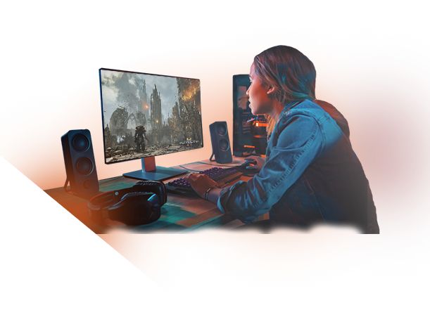 AMD Gamer